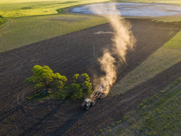 Greening Ammonia