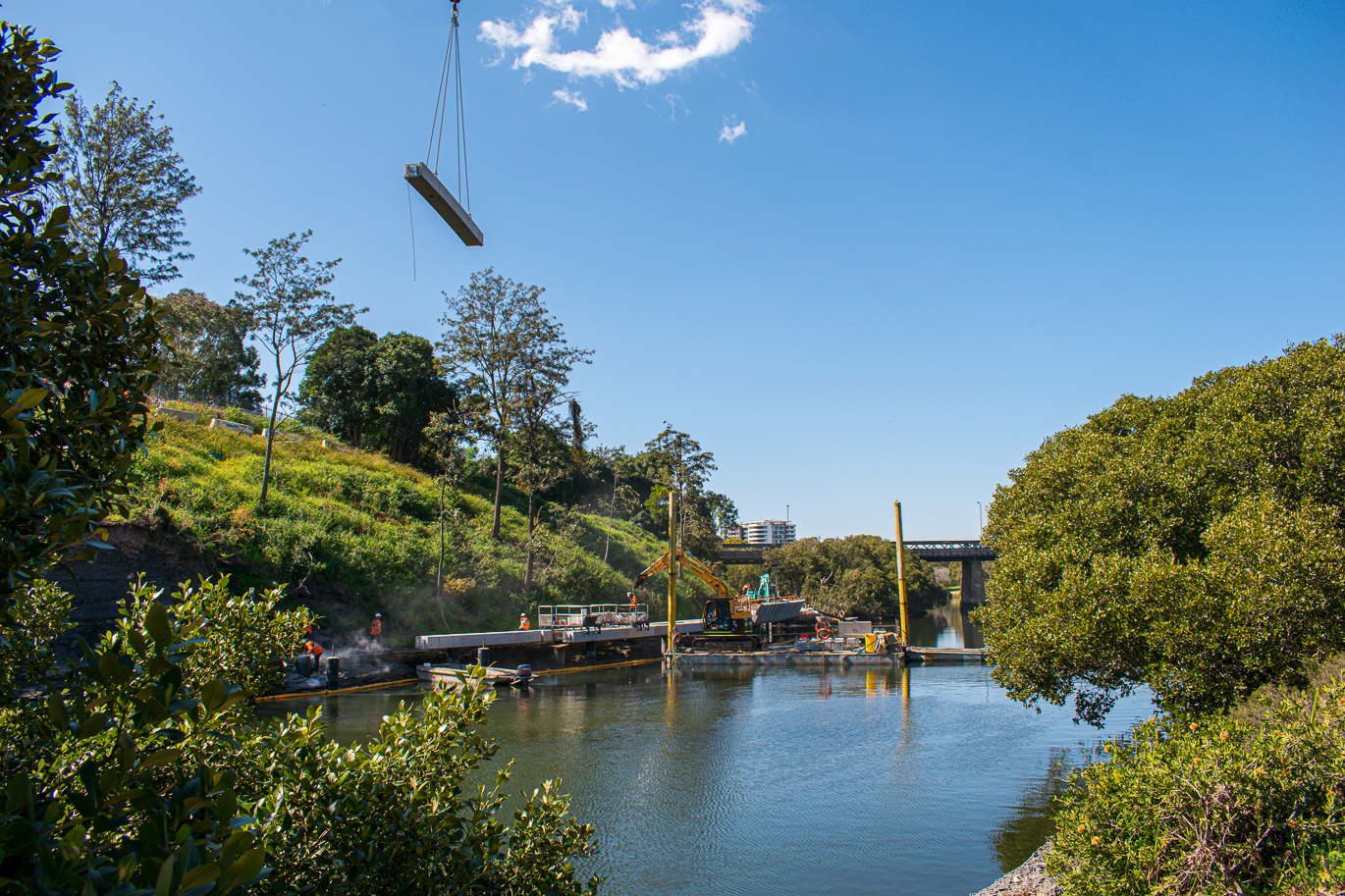 Crane life at the Parramatta Escarpment Boardwalk