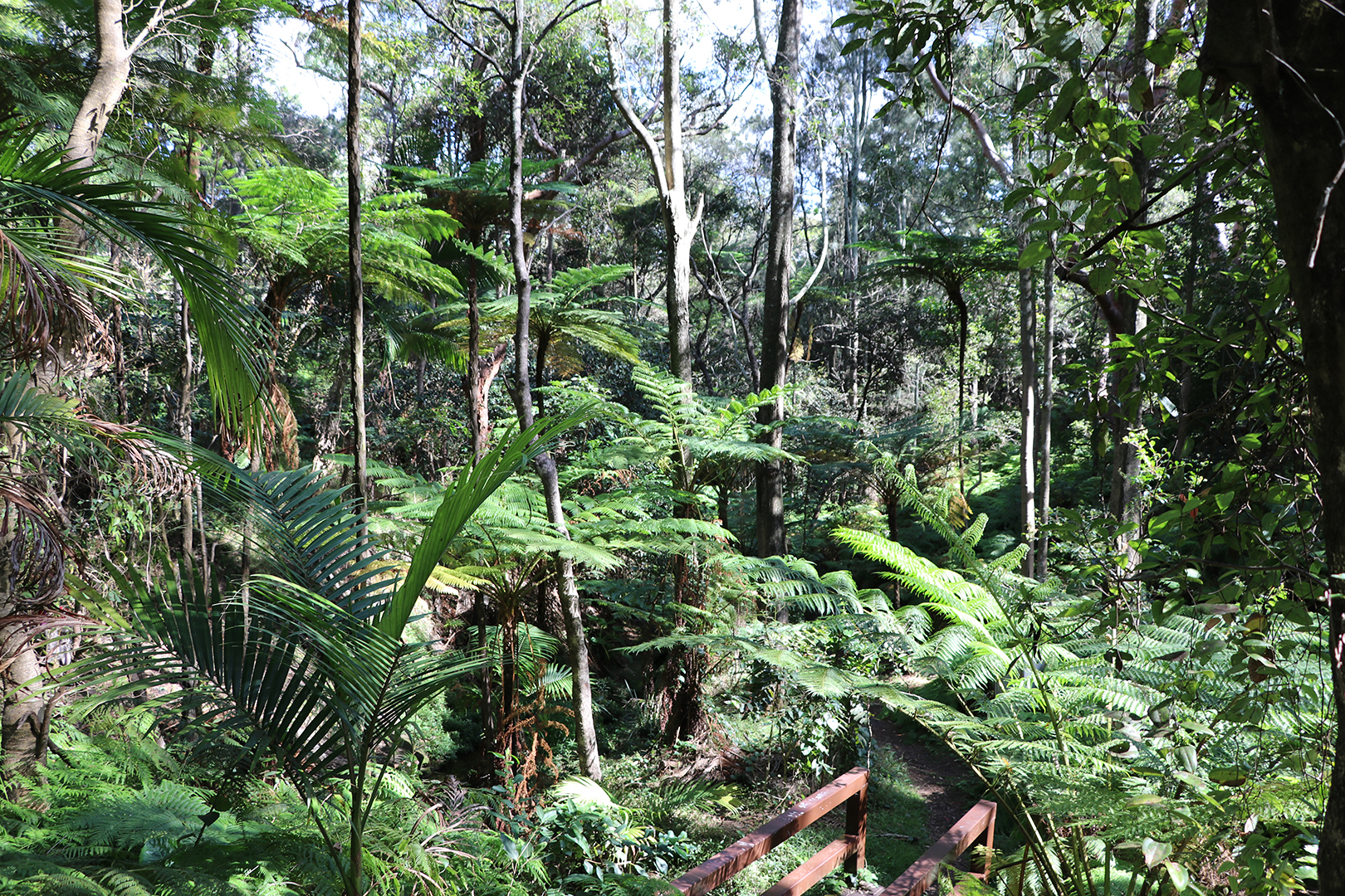 Care for the environment