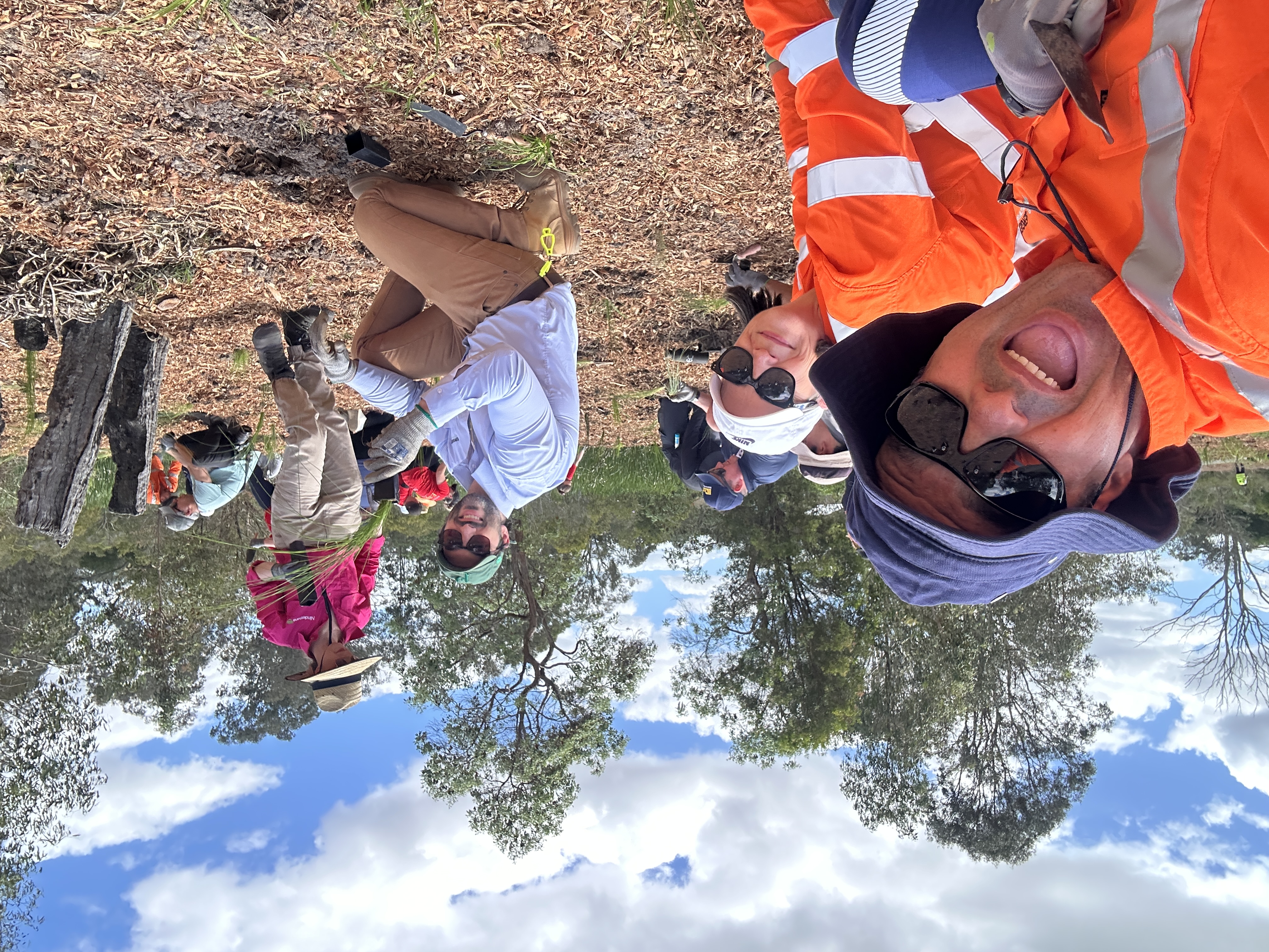 Archerfield Wetlands, Tree Planting Initiative 