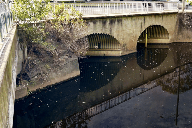 Hunts Creek Bridge